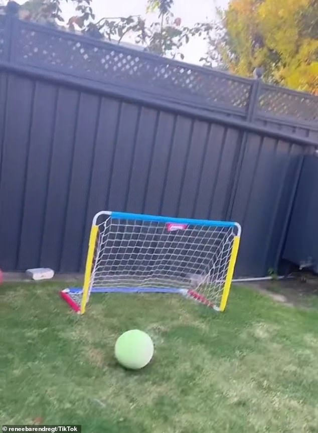 Many replies suggested simply moving the net away from the fence would solve the problem