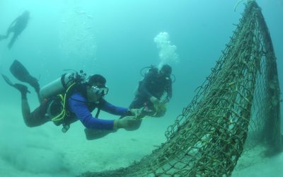 Divers remove ‘ghost gear’ the length of a soccer pitch from marine-protected area in Mexico – The World from PRX